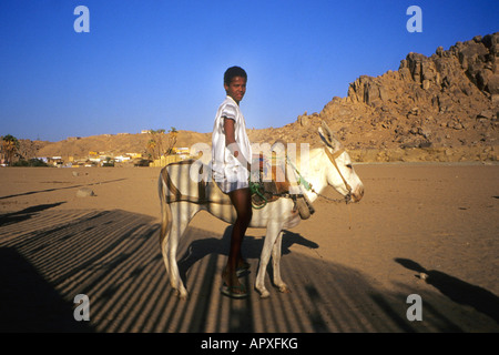 Young man sitting on a donkey at Giza Stock Photo