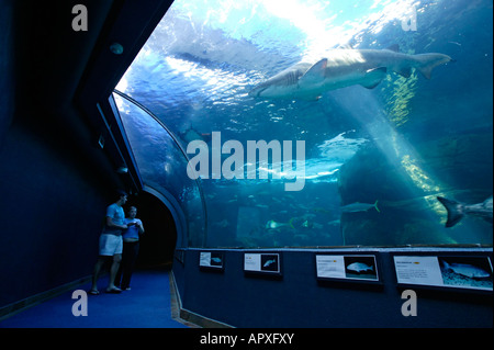 Two Oceans Aquarium Stock Photo