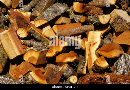 Wood chopped ready for burning on a fire Mallorca Europe Stock Photo