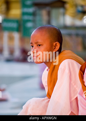 young Burmese nun in thought at sunrise Yangon Myanmar Stock Photo