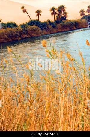 Ubari Lakes, Sahara Desert, Libya, north Africa. Stock Photo