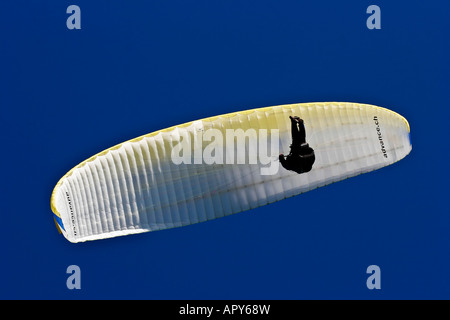 Yellow and white canopy of a paraglider seen from below against a deep blue sky Stock Photo