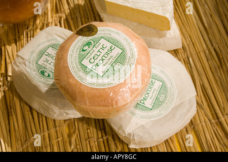 rounds of Celtic Promise welsh farmhouse organic raw milk cheese for sale Aberystwyth farmers market Stock Photo