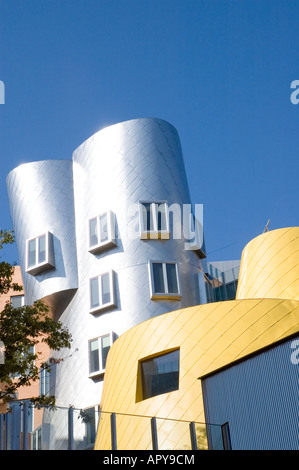 The Stata Building in MIT, Cambridge, Massachusetts Stock Photo