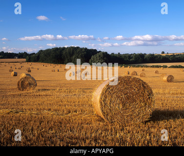 Straw bales in the summer sun on a hillside in Hungary Stock Photo - Alamy