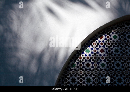 Abstract view of a tiled Arch with in a white wall with shadows from palms Egypt Stock Photo