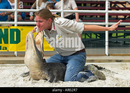 Gator Wrestling in the Theme Park Gatorland, Orlando, Florida, USA Stock Photo