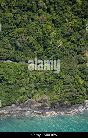 Road to Cape Tribulation and flock of birds Daintree National Park World Heritage Area North Queensland Australia aerial Stock Photo