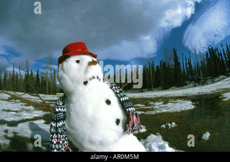 Melting snowman hi-res stock photography and images - Alamy