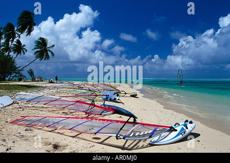 Palmenstrand, Kokospalmen, Windsurfing, Pigeon Point Tobago, West Indies, Karibik Stock Photo