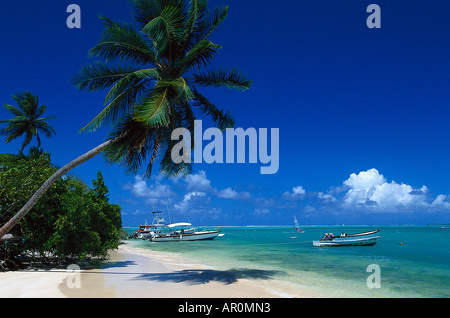 Palmenstrand, Kokospalmen, Motorboote, Pigeon Point Tobago, West Indies, Karibik Stock Photo