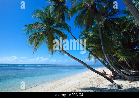 Palmenstrand, Kokospalmen, Pigeon Point Tobago, West Indies, Karibik Stock Photo