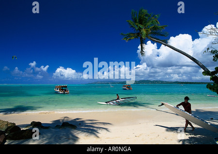 Palmenstrand, Kokospalmen, Windsurfing, Pigeon Point Tobago, West Indies, Karibik Stock Photo