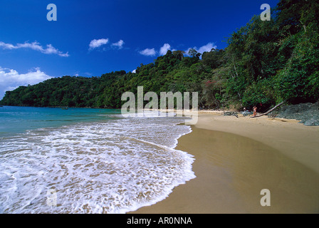 Sandstrand, Pirate´s Bay, bei Charlotteville Tobago, West Indies, Karibik Stock Photo