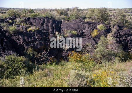Valley of Fires Recreation Area, New Mexico, USA Stock Photo