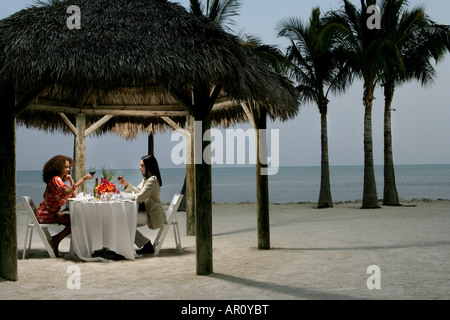 Young couple having romantic dinner at beach. Stock Photo