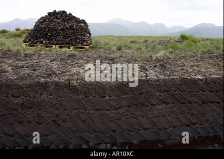mound of Turf peat cut next to the cut seam in a peat bog in Connemara County Galway Republic of Ireland Stock Photo