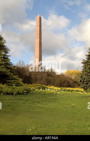 dh  DUTHIE PARK ABERDEEN Sir James McGirgor memorial obelisk monument in daffodil parkland Stock Photo