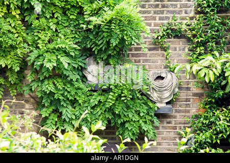 Greek/Roman busts mounted on a wall overgrown with foliage Stock Photo