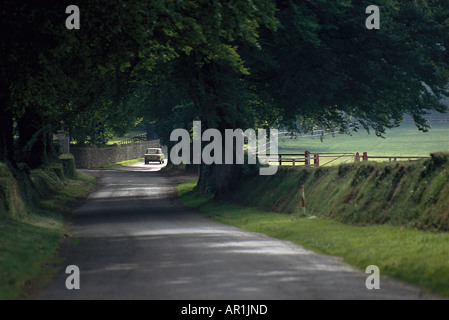 Landstrasse u. Pferdeweiden, Curragh Irland Stock Photo
