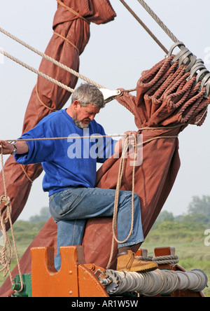 Putting the sails away and tiding up the ropes on a Thames Barges Stock Photo