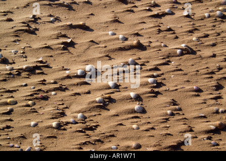 Pebbles on a wind blown beach Wirral Merseyside England Stock Photo