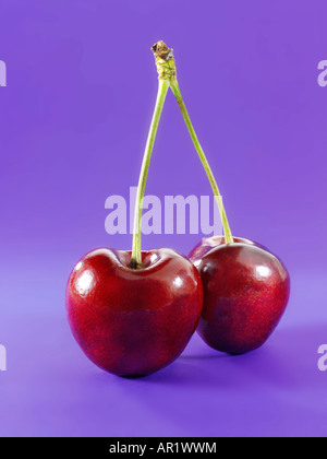 pair of Red Cherry with stalk Stock Photo