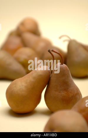 still life of a group of Bosc pears with two among many fruit leaning on each other Stock Photo