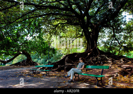 Woman sitting on a bench in a Buenos Aires public park, Buenos Aires, Argentina Stock Photo