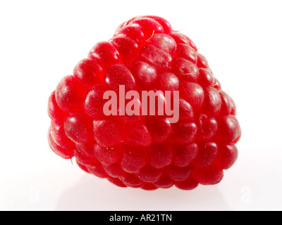 close up of a fresh whole Raspberry on a white background Stock Photo