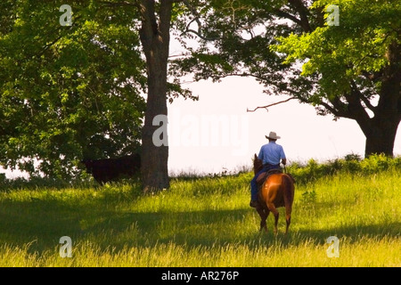 Cowboy Under the Trees, Fauquier County, Virginia, USA Stock Photo