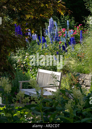 Larkspurs (Delphinium) and roses (Rosa) Stock Photo