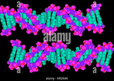 molecular model of a DNA molecule showing the base pairs in green and the backbone of the sugar phosphate in red and blue Stock Photo