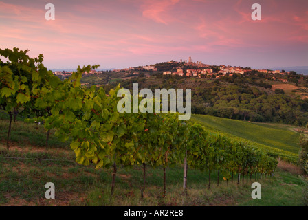 San Gimignano sunset with vineyards and grapes Val di Chiana Tuscany Italy EU Europe Stock Photo