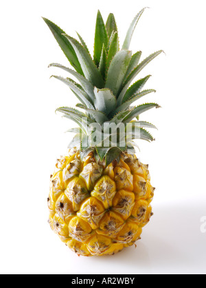Organic Pineapple uncut with leaves Stock Photo