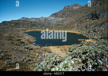 Fresh water tarn or small lake high on Mount Elgon 14 178 ft Western Kenya East Africa Stock Photo