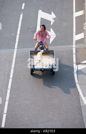 HOLLAND AMSTERDAM MAN DRIVING HIS DOG IN A CARGO MOTOR CYCLE OVER TWO WHITE ARROWS PAINTED ON THE ROAD Stock Photo