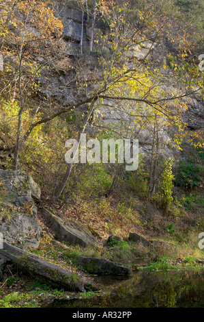 cliff over East Beaver Creek, Beaver Creek Valley State Park, Minnesota USA Stock Photo