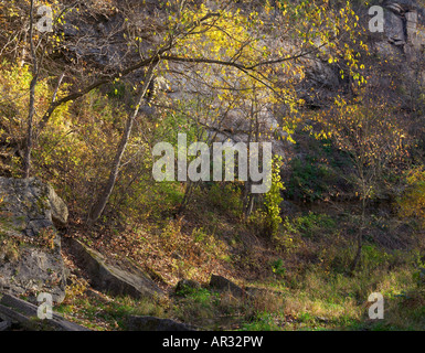 cliff over East Beaver Creek, Beaver Creek Valley State Park, Minnesota USA Stock Photo