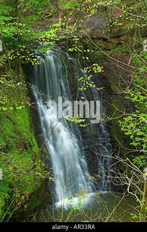 Falling Foss waterfall near Littlebeck in the North York Moors, England, United Kingdom. Stock Photo