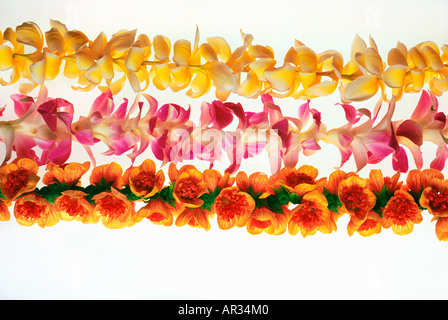 Plumeria orchid and ilima Flower lei on white background Stock Photo