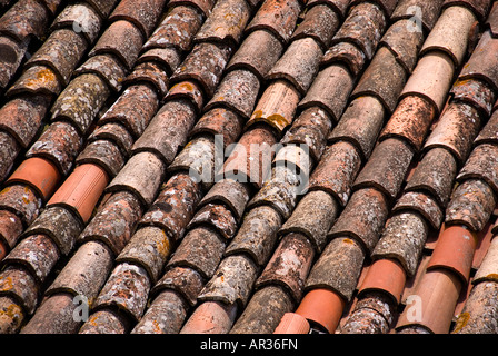 Typical italian Roman style rooftiles as widly used in italy here in Gubbio Umbria Italy Stock Photo