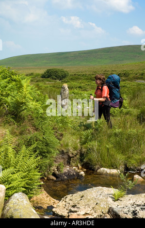 Walker in Dartmoor National park Devon England UK Stock Photo