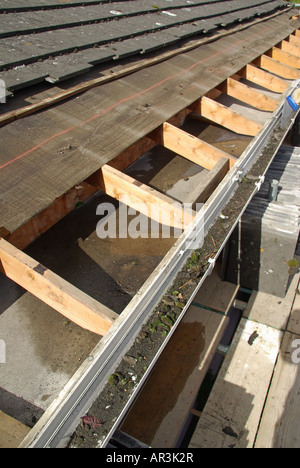 Roof repair in progress to under felt & battens below eaves tiles on house where felt has deteriorated at gutter line show leak Stock Photo