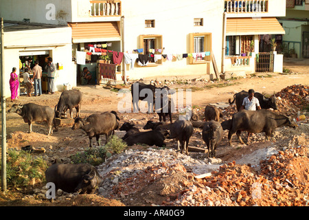 Rupena Agrahara, Hosur Road Area, Bangalore, India Stock Photo