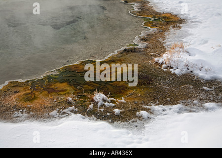 Yellowstone National Park in winter snow hot spring pool at Castle Geyser Stock Photo