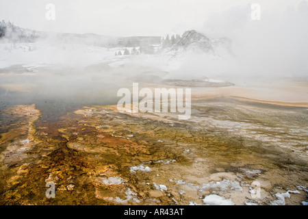 Yellowstone National Park in winter snow Tortoise Shell Spring algae mat at Castle Geyser Stock Photo