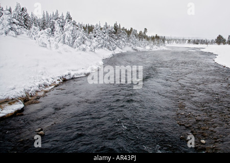 Yellowstone National Park in winter snow frost covered trees on Firehole River at Excelsior Spring Stock Photo