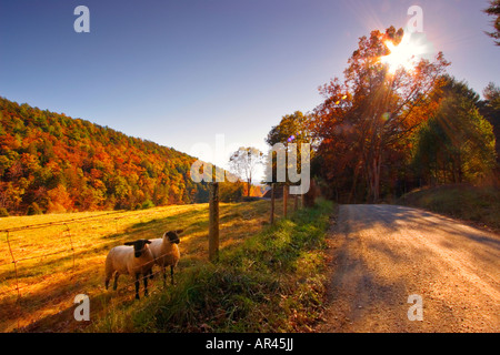 Williamsville, Shenandoah Valley, Virginia, USA Stock Photo