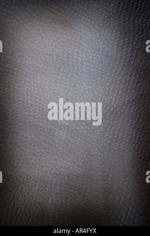 Black spotted leather background shot square on Stock Photo